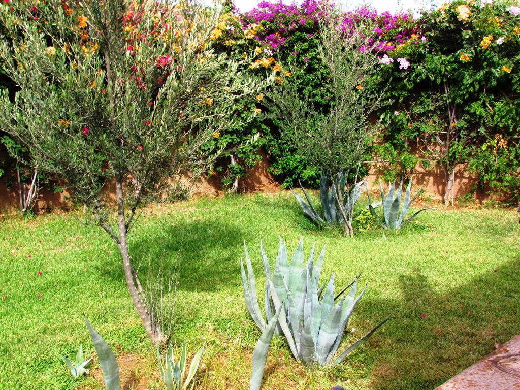 Le Jardin Des Epices Hotel Taroudant Exterior foto