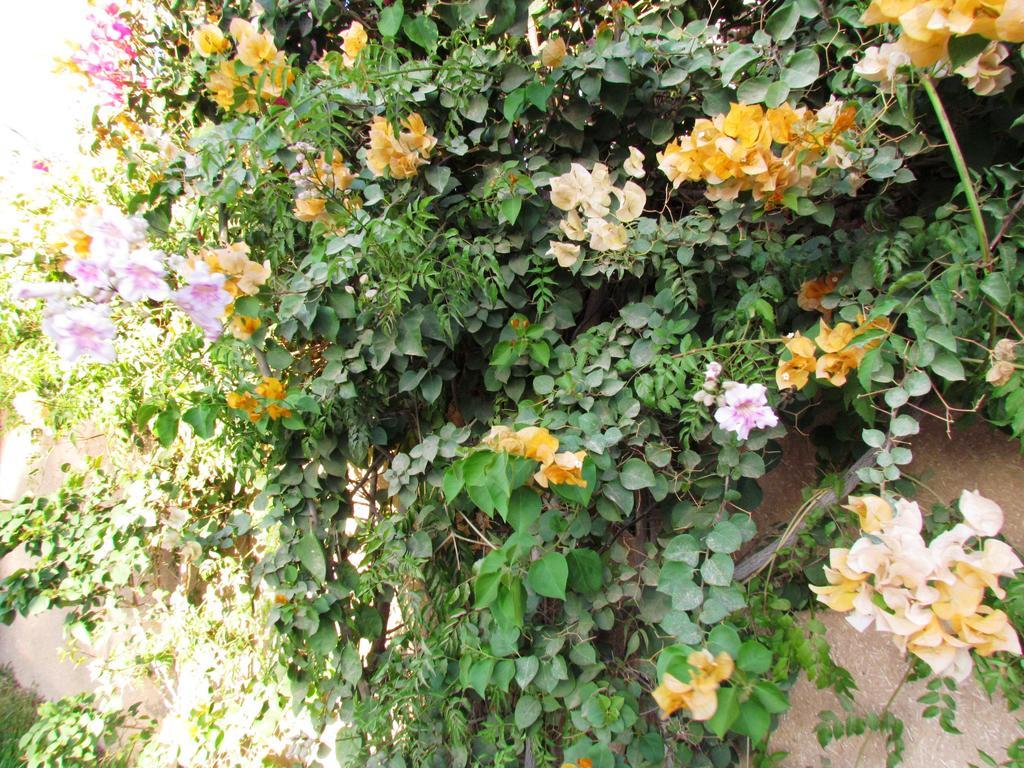 Le Jardin Des Epices Hotel Taroudant Exterior foto